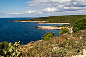 La costa frastagliata  di Porto Selvaggio - Salento, Puglia.